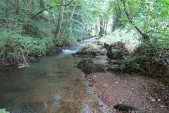 7.-Downstream-from-Waterrow-Bridge