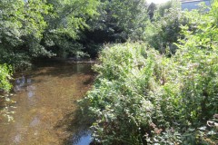 71.-Looking-downstream-from-Hagley-Bridge