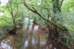 1.-Looking-upstream-from-Tucks-Bridge
