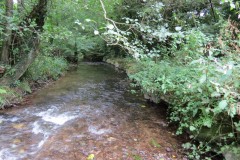 Downstream-from-Hagley-Bridge-1