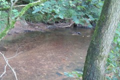 Downstream-from-Hagley-Bridge-11