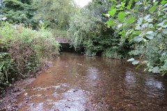 Downstream-from-Hagley-Bridge-2