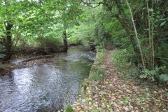Downstream-from-Hagley-Bridge-3
