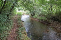 Downstream-from-Hagley-Bridge-4