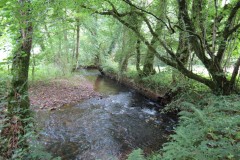 Downstream-from-Hagley-Bridge-5