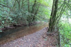 Downstream-from-Hagley-Bridge-8