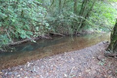 Downstream-from-Hagley-Bridge-9