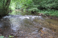Flowing-through-Ham-Copse-3