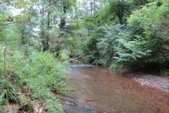 Flowing-through-Ham-Copse-6