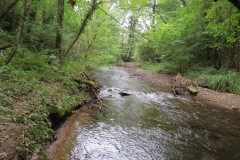 Flowing-through-Ham-Copse-7