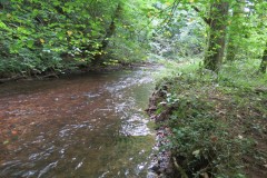 Flowing-through-Ham-Copse-8