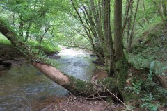 Upstream-from-Tucks-Bridge-1