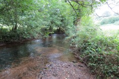 Upstream-from-Tucks-Bridge-10