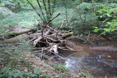 Upstream-from-Tucks-Bridge-3