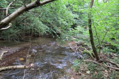 Upstream-from-Tucks-Bridge-4