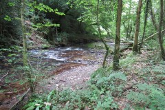 Upstream-from-Tucks-Bridge-5