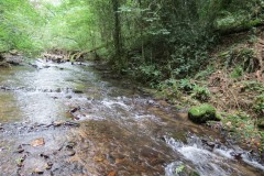 Upstream-from-Tucks-Bridge-6