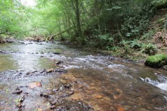 Upstream-from-Tucks-Bridge-8