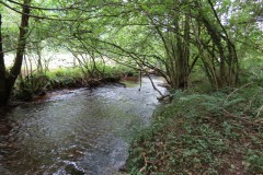 Upstream-from-Tucks-Bridge-9