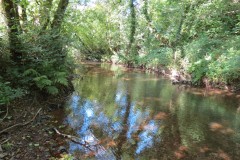 1.-Down-stream-from-Tucks-Bridge