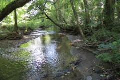 10.-Downstream-from-Stawley-Mill-weir
