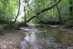 11.-Downstream-from-Stawley-Mill-weir