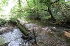 12.-Downstream-from-Stawley-Mill-weir