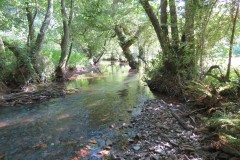2.-Down-stream-from-Tucks-Bridge