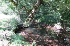 4.-Down-stream-from-Tucks-Bridge