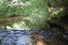 9b.-Stawley-Mill-weir-leat-begind