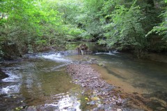 D6. Duckham's Bridge to Trace Bridge