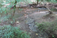 10.-Stream-joins-from-Pitt-Farm