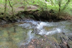 15.-Flowing-through-Muzzy-Grove-Copse