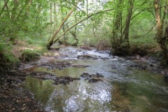 16.-Flowing-through-Muzzy-Grove-Copse