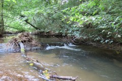 2.-Upper-Weir-Muzzy-Grove-Copse