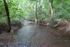 24.-Flowing-through-Clover-Close-Copse