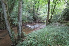 25.-Flowing-through-Clover-Close-Copse