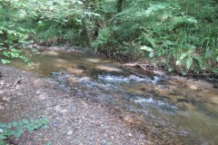 27.-Flowing-through-Clover-Close-Copse