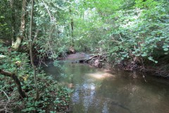 28.-Flowing-through-Clover-Close-Copse