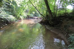 29.-Flowing-through-Clover-Close-Copse