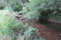 30.-Flowing-through-Clover-Close-Copse