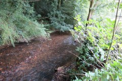 31.-Flowing-through-Clover-Close-Copse