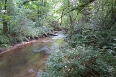 32.-Flowing-through-Clover-Close-Copse