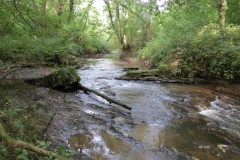 34.-Tracebridge-saw-mill-weir