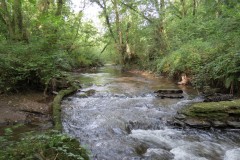 35.-Tracebridge-saw-mill-weir