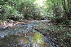 36.-Flowing-through-Weir-Copse
