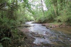 37.-Flowing-through-Weir-Copse
