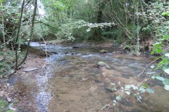 38.-Flowing-through-Weir-Copse