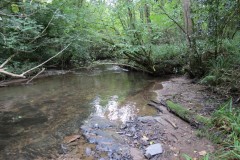 39.-Flowing-through-Weir-Copse