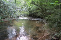 4.-Looking-downstream-to-lower-weir-Muzzy-Grove-Copse